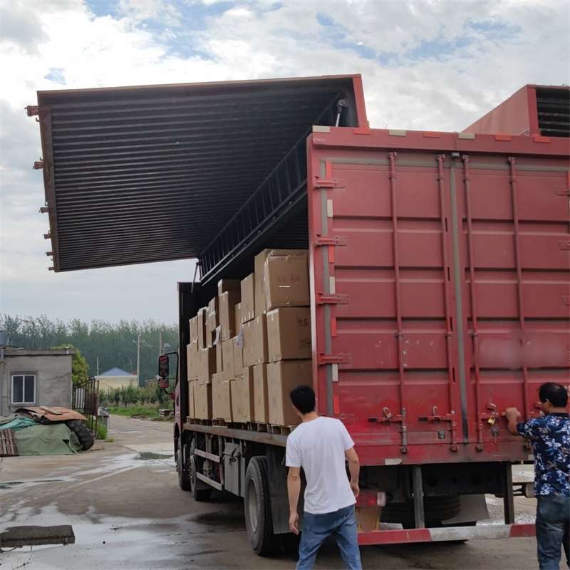 峨蔓镇扎囊县：物流专线的高效货运之旅